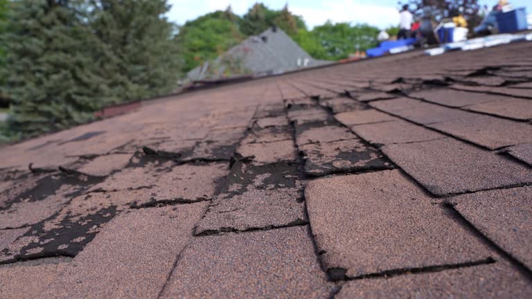 South Browning, MT Roofing Service Company